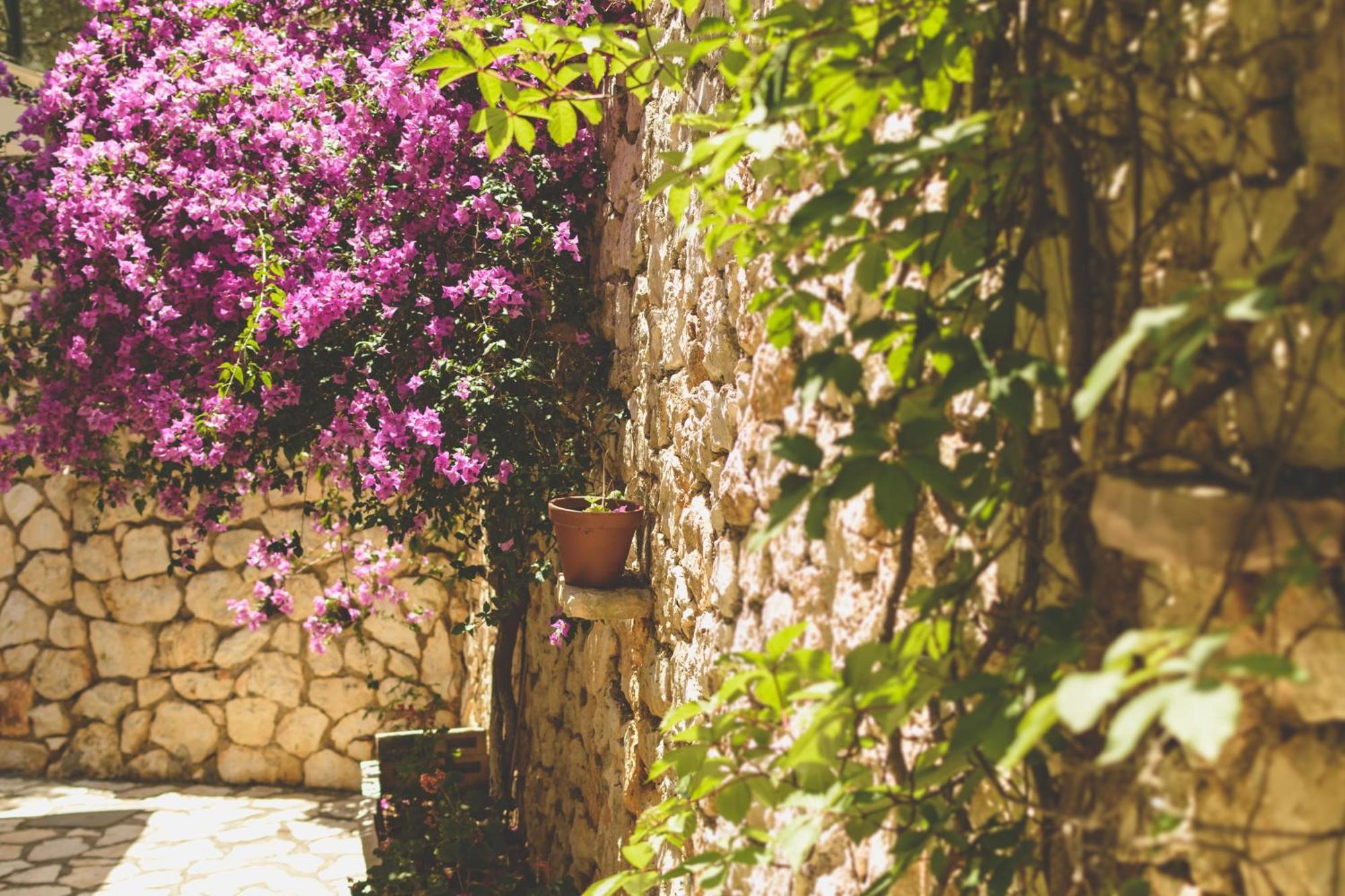 Althea Studios Lefkada Áyios Nikítas الغرفة الصورة