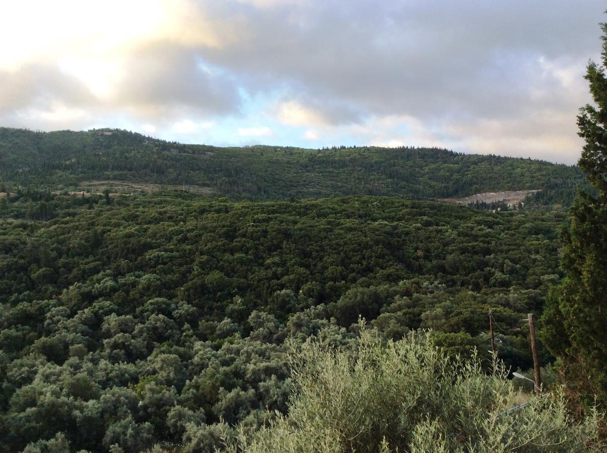 Althea Studios Lefkada Áyios Nikítas المظهر الخارجي الصورة