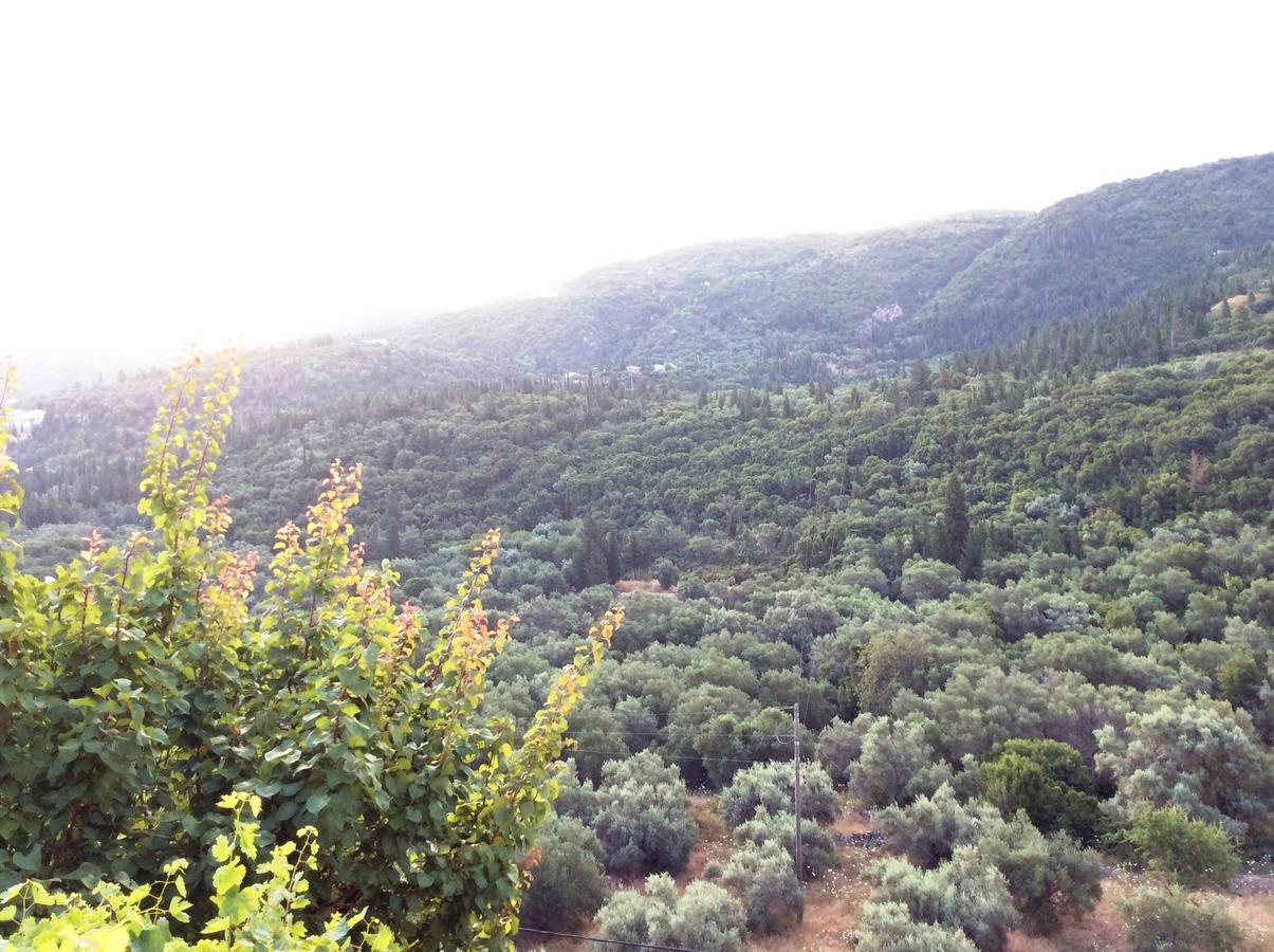 Althea Studios Lefkada Áyios Nikítas المظهر الخارجي الصورة